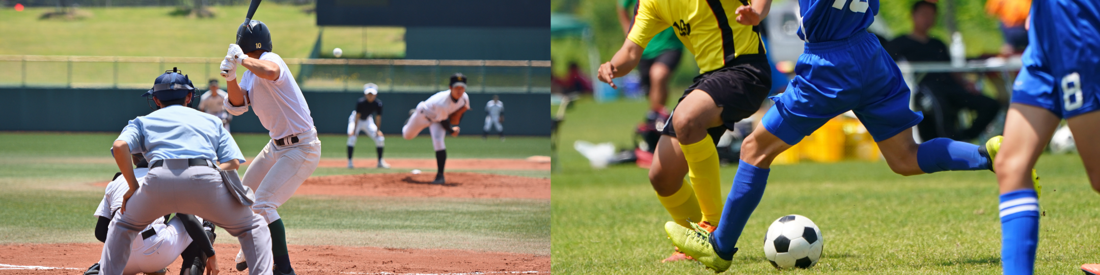 スポーツ団体・合宿サポートプラン