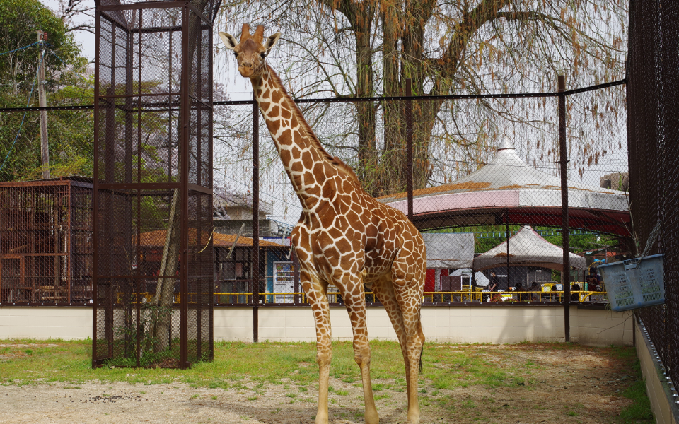 池田動物園
