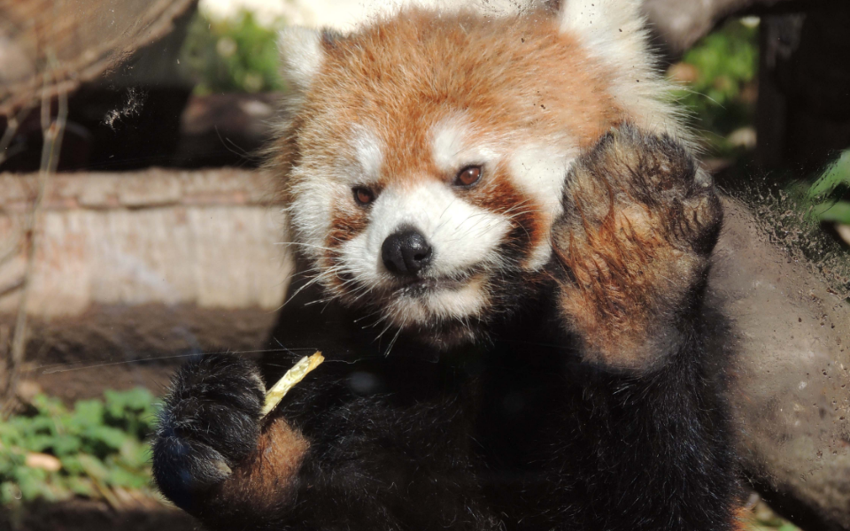 池田動物園